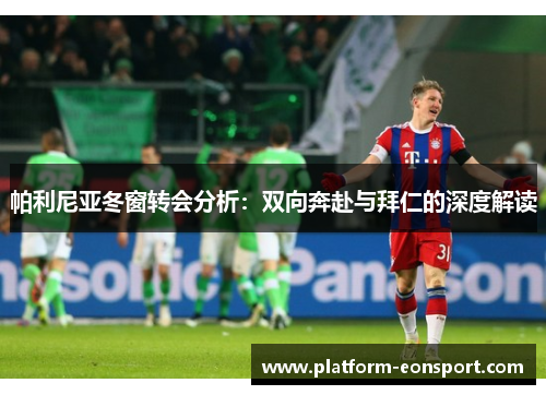 帕利尼亚冬窗转会分析：双向奔赴与拜仁的深度解读