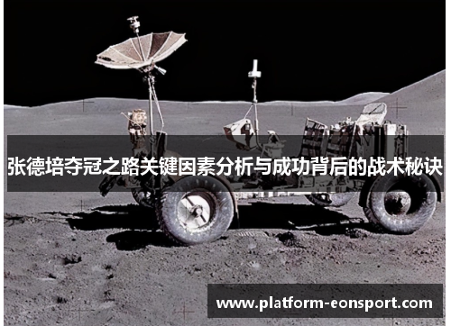 张德培夺冠之路关键因素分析与成功背后的战术秘诀
