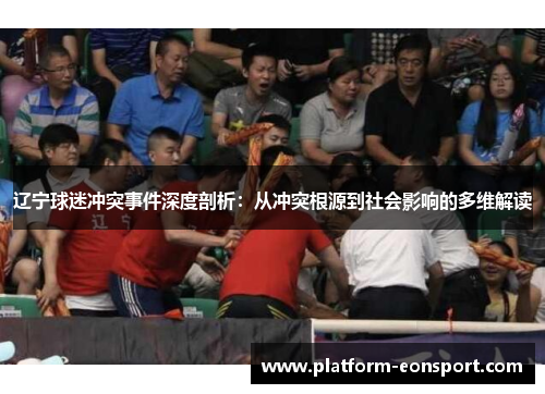 辽宁球迷冲突事件深度剖析：从冲突根源到社会影响的多维解读