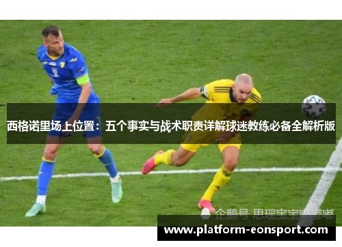 西格诺里场上位置：五个事实与战术职责详解球迷教练必备全解析版