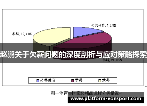赵鹏关于欠薪问题的深度剖析与应对策略探索